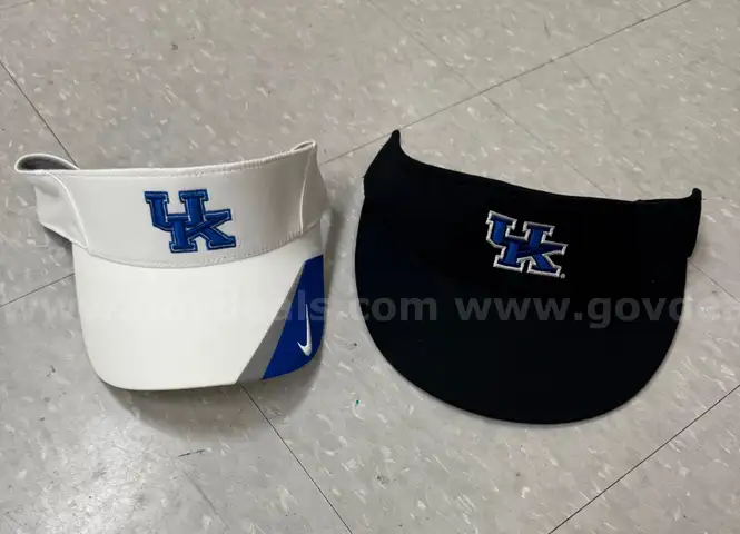 2 UK Visors