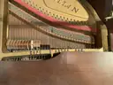 Grand Piano