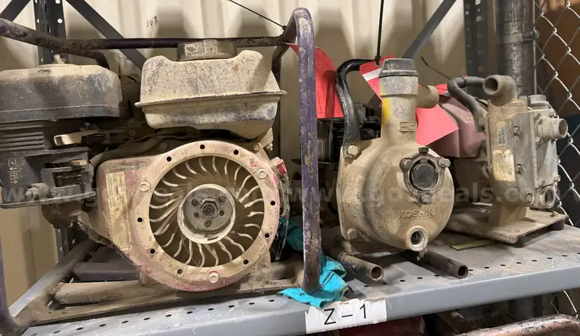 PUMPS