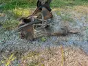 2010 Bobcat E35 Excavator