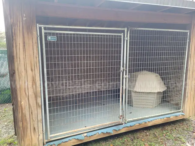 8&#x27; X 11&#x27; Dog Kennel with Igloo Dog House and Mat