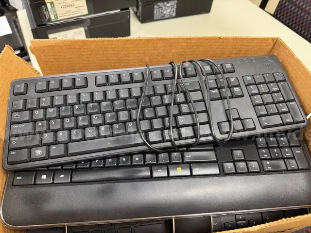 Keyboards and Mice