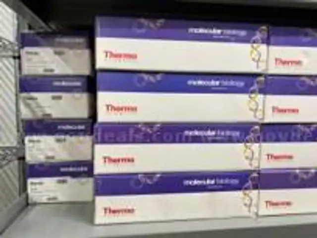 Lab Equipment Lot of SuperPlate PCR Plate, 96-well, low profile, skirted