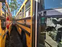 2002 Blue Bird School/Transit Bus