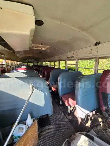 2002 Blue Bird School/Transit Bus