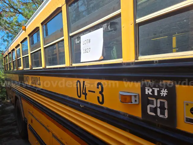 Blue Bird School/Transit Bus