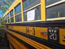 Blue Bird School/Transit Bus