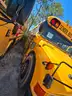 Blue Bird School/Transit Bus