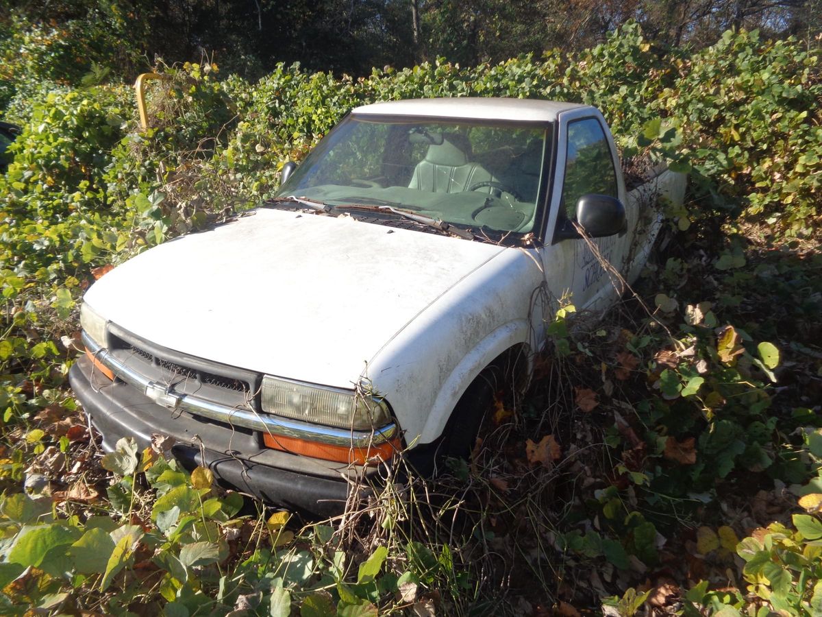 1998 Chevrolet S10 Pickup 