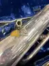 Used Bell Front Baritone