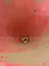 Tarter 65 Gallon Seeder