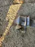 MONARK BOAT WITH TRAILER AND MOTOR