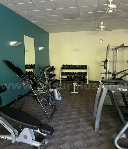 Gym Equipment Bulk Lot