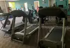 Gym Equipment Bulk Lot