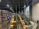 Bulk Offering - Pick Sortation Systems, Conveyor &#x26; Mezz Systems