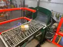 Bulk Offering - Pick Sortation Systems, Conveyor &#x26; Mezz Systems