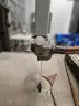 DoALL Contour Machine