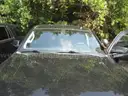 2018 Chevy Tahoe.