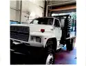 1989 Ford F800F