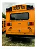 2010 Thomas School Bus