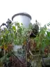 CUSTOM GOOSENECK PYROLOSIS UNIT