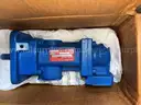 Pumps, Oil Pump, Piston Pump, Drive Pump, Metering Pump, Unused, Qty 21