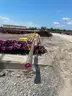Pipe, Casing, Drops, Pups &#x26; XOvers, 5in - 24in &#x26; Assemblies, 1 Lot