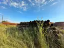 Line Pipe, 8-5/8in x 0.594in, X60, Seamless, PEB, 1418jts, 58,634ft, UNUSED