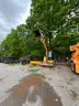 2013 Mini Caterpillar Excavator