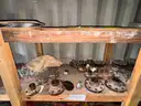 Shipping Container, 40ft, W/ Contents, Tool Shed, Year 1997, Qty 1