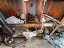 Shipping Container, 40ft, W/ Contents, Tool Shed, Year 1998, Qty 1
