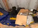 Shipping Container, 40ft, W/ Contents, Tool Shed, Year 1998, Qty 1