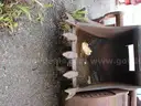 1 lot of miscellaneous buckets and attachments