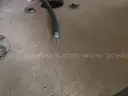Misc. Cable