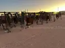 Sand Separator, Filter Racks, Qty 21