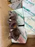 Pump Parts, Filters, Valves, 1 LOT