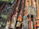 Sucker Rods, Steel &#x26; Fiberglass, 3/4in To 1in, 25ft To 40ft, Qty Approx 75 pcs
