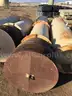 Smart Flare / Vapor Combustion Unit, Kimark, Qty 3