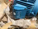 Pumps, Summit, Goulds, &#x26; Sulzer, with Electric Motors, 1 Lot
