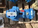 Pumps, Summit, Goulds, &#x26; Sulzer, with Electric Motors, 1 Lot