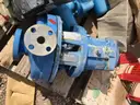 Pumps, Summit, Goulds, &#x26; Sulzer, with Electric Motors, 1 Lot