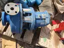 Pumps, Summit, Goulds, &#x26; Sulzer, with Electric Motors, 1 Lot