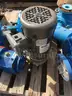 Pumps, Summit, Goulds, &#x26; Sulzer, with Electric Motors, 1 Lot