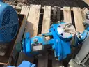 Pumps, Summit, Goulds, &#x26; Sulzer, with Electric Motors, 1 Lot