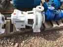 Pumps, Summit, Goulds, &#x26; Sulzer, with Electric Motors, 1 Lot