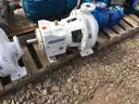 Pumps, Summit, Goulds, &#x26; Sulzer, with Electric Motors, 1 Lot