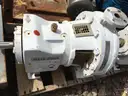 Pumps, Summit, Goulds, &#x26; Sulzer, with Electric Motors, 1 Lot
