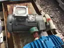 Pumps, Summit, Goulds, &#x26; Sulzer, with Electric Motors, 1 Lot