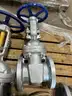 Valves, Gate Valves, 4in To 6in, 150# To 600#, Raised Face, WCB, Neway, Qty 4