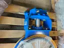 Valves, Butterfly Valves, 16in, 150#, A216WCB, Gear Operated, ZWICK-Armaturen GMBH, Qty 3